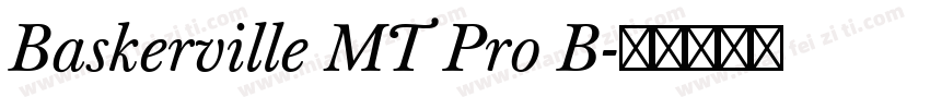 Baskerville MT Pro B字体转换